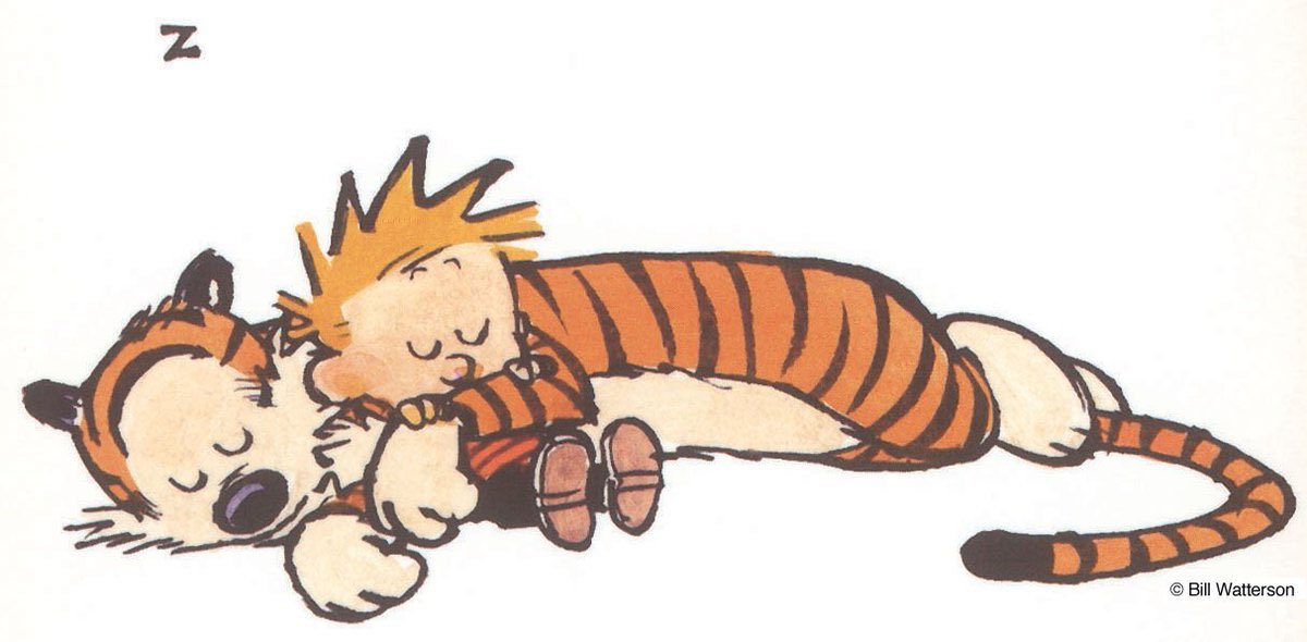 Calvin and Hobbes fast asleep